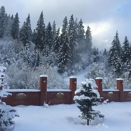 Guest house Kolyganka Slavske